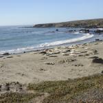 cambria_312 (November 03, 2018)